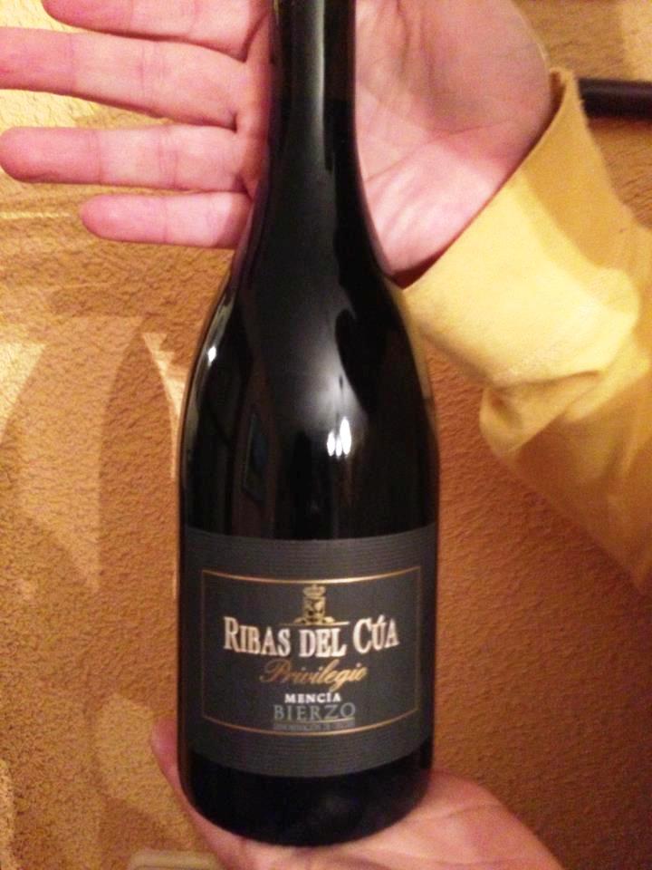 Ribas_del_Cúa_Privilegio_2006